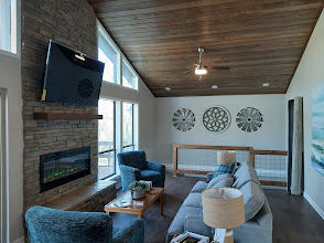 Wood-Clad Living Room